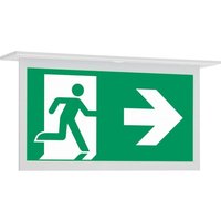 Ceag Notlichtsysteme LED-Einzelbatterie-Leuchte m.autom. Funkt.test 11824 1-8h/D CGLine+ - 40071353272 von Ceag Notlichtsysteme
