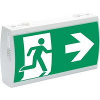 Ceag Notlichtsysteme LED-Rettungszeichenleuchte RAL7035 IP41 SV EURO 2-3/D LED - 40071349399 Ceag Notlichtsysteme LED-Rettungszeichenleuchte RAL7035 IP41 SV EURO 2-3/D LED - 40071349399 von Ceag Notlichtsysteme