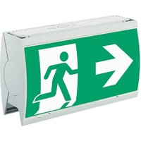 Ceag Notlichtsysteme LED-Rettungszeichenleuchte inkl. Piktogramme StyleII22021LEDCGSRZ - 40071356821 von Ceag Notlichtsysteme