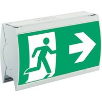 Ceag Notlichtsysteme LED-Sicherheitsleuchte StyleII22011LEDCGSRZ - 40071356820 von Ceag Notlichtsysteme
