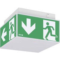 Ceag Notlichtsysteme LED-Würfel RZ 33822 LED CGLine+ ExitCube#40071353420 Ceag Notlichtsysteme LED-Würfel RZ 33822 LED CGLine+ ExitCube#40071353420 von Ceag Notlichtsysteme