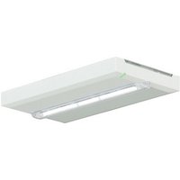 Ceag Notlichtsysteme Rettungszeichenleuchte 400lm AT L, 1-8H FT2SE400ATL18 - FT2SE400ATL18 von Ceag Notlichtsysteme