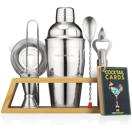 Cocktail Shaker Set, 10 Teiliges Craft Cocktail Set mit Ständer, Edelstahl Cocktail Shaker, Bar Zubehör von Ceciliec