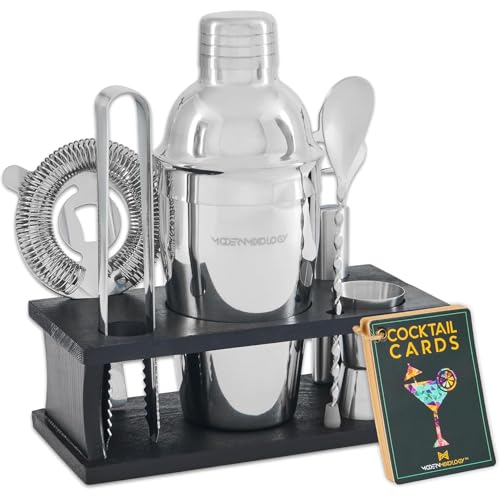 Craft Cocktail Set, 8-teiliges Cocktail Shaker Set mit Shaker aus Edelstahl und Bar Zubehör im schwarzen Holzständer, Dekoratives Geschenkset inkl, Cocktail Rezepte, Silber von Ceciliec