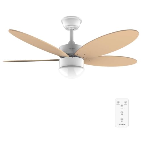 Cecotec Deckenventilator EnergySilence Aero 4260 Orange. 40 W, DC-Motor, Durchmesser 42 Zoll mit 5 umkehrbaren Flügeln, LED-Licht, Fernbedienung, Timer, 6 Geschwindigkeiten Cecotec Deckenventilator EnergySilence Aero 4260 Orange. 40 W, DC-Motor, Durchmesser 42 Zoll mit 5 umkehrbaren Flügeln, LED-Licht, Fernbedienung, Timer, 6 Geschwindigkeiten von Cecotec
