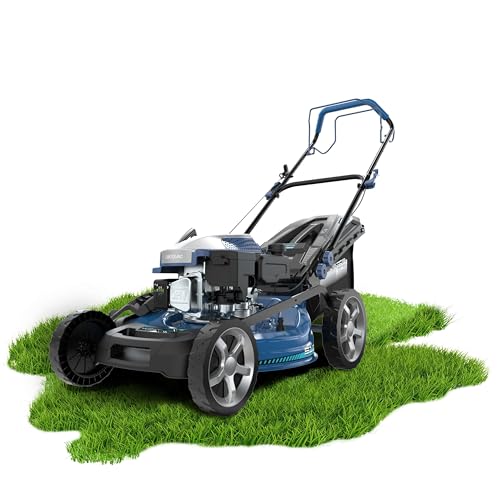 Cecotec Terrenator 4000.51 Total Z Auto Benzin-Rasenmäher, Motor mit 167 CCM, 2,7 kW und 3,7 PS, Gehäuse aus Stahl 51 cm, Z-Tech-System und automatischer Antrieb, 4-in-1 mit Mulching Cecotec Terrenator 4000.51 Total Z Auto Benzin-Rasenmäher, Motor mit 167 CCM, 2,7 kW und 3,7 PS, Gehäuse aus Stahl 51 cm, Z-Tech-System und automatischer Antrieb, 4-in-1 mit Mulching von Cecotec