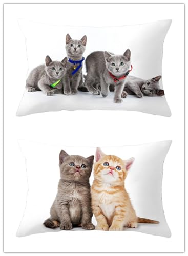 Cekog Graue Katze Lendenwirbel-Kissenbezüge für den Außenbereich,Rechteckig Taille Kissenbezüge,30x50cm 2er-Set,Heimdekoration Leinen Taille Kissenbezüge für Couch,Sofa,Stuhl,Garten Dekoration von Cekog