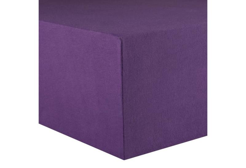 Spannbettlaken Lucina Minis Spannbetttuch Jersey 60x120-70x140cm lila, CelinaTex, Baumwolle, (1 Stück), bügelfrei,faltenfreier Sitz,formstabil und dauerelastisch von CelinaTex