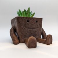 Glücklicher Sukkulenten Übertopf von CelticForge3D