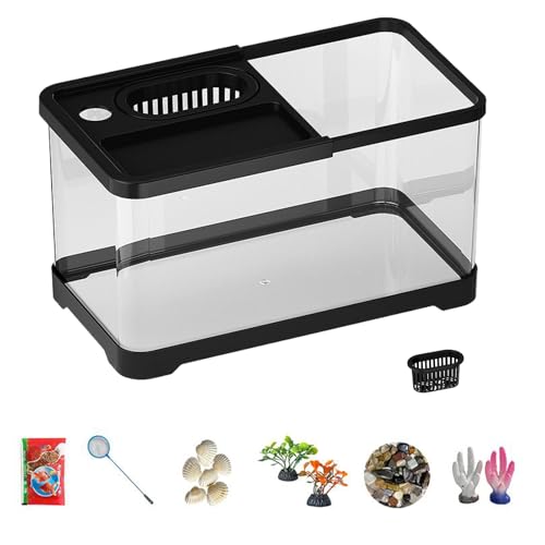 Celuicion Aquarium Starter Kit, Komplettes Aquarium Set Mit LED-Beleuchtung Und Filter, Hochtransparentes Glas-Aquarium Für Kinderzimmer, Wohnzimmer Und Schreibtisch von Celuicion