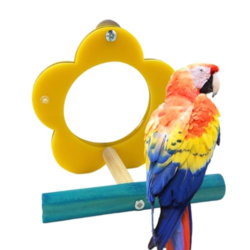 Celuicion Spiegel für Wellensittiche für den Käfig, Spiegel für Vogelsittiche – Coucatriel Perch Bird Mirror interaktives Spielzeug, Kau-Form, Zubehör für Haustiere, Celuicion Spiegel für Wellensittiche für den Käfig, Spiegel für Vogelsittiche – Coucatriel Perch Bird Mirror interaktives Spielzeug, Kau-Form, Zubehör für Haustiere, von Celuicion