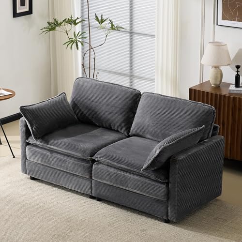 Cenbunsh Modernes minimalistisches 2-Sitzer-Sofa, bequem und geräumig, geeignet für Wohn-/Schlafzimmer von Cenbunsh