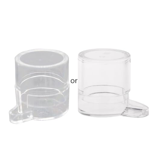 Cenifin Ameisenfutterwasser Wasser Futtergebiet Für Ameisennest House Farm Acryl Runde Trinkschüssel Ameisenbauern von Cenifin