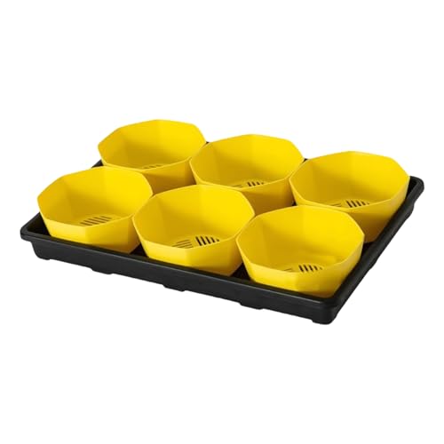 Cenifin 6 Zellsamling Töpfe Tablett Mit 6 Zoll Töpfen Sämlings Shuttle Tablett Mit Atmungsaktivem Und Wasserspeicher Für Hausgarten Topfschalen Cenifin 6 Zellsamling Töpfe Tablett Mit 6 Zoll Töpfen Sämlings Shuttle Tablett Mit Atmungsaktivem Und Wasserspeicher Für Hausgarten Topfschalen von Cenifin