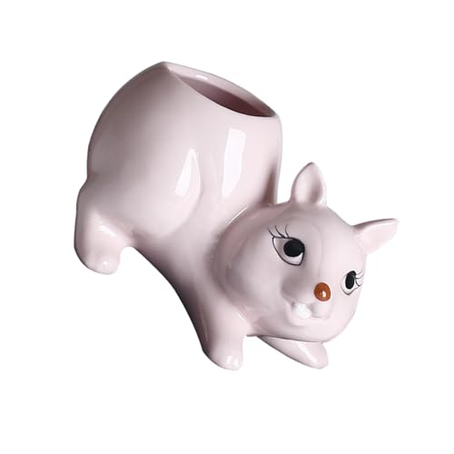 Cenifin Eichhörnchen Pflanzenbehälter Blumenpot Gartenbehälter Keramik Fleischy Pflanzentlebeer Für Home Office Desk Ornament Keramik Pflanzer von Cenifin