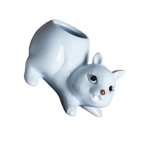 Cenifin Eichhörnchen Pflanzenbehälter Blumenpot Gartenbehälter Keramik Fleischy Pflanzentlebeer Für Home Office Desk Ornament Keramik Pflanzer von Cenifin