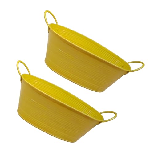 Cenifin Mehrzweckmetallblumenbehälter Pflanzer Ovales Design Für Balkon Windowsill Gardening Home Wedding Party Display 2pcs von Cenifin