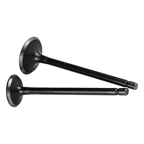 Hochleistungsventile Aktuator Motor Verbessert Kits Metallkomponente Optimierte Kraftstoffe Effizienz Einfacher Installation Für BWS125 Ventile Die Aufgestiegen Hochleistungsventile Aktuator Motor Verbessert Kits Metallkomponente Optimierte Kraftstoffe Effizienz Einfacher Installation Für BWS125 Ventile Die Aufgestiegen von Cenifin