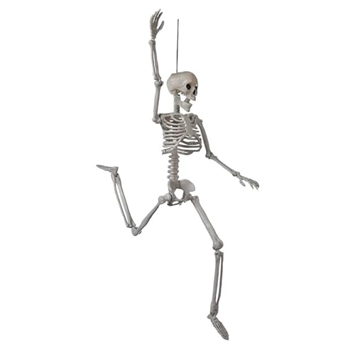 Posiable Halloween Skelett Mit Beweglichen Gelenken Realistische Ganzkörperknochenschmuck Unheimliche Outdoor Und Innendekoration Poable Skelett von Cenifin