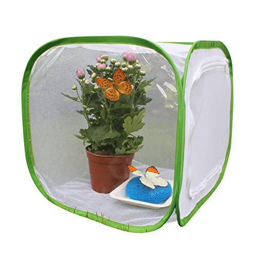 Centeraly Schmetterlingsnetz-Käfig, tragbar, zusammenklappbar, Terrarium, Pop-Up-Schmetterlingsnetz, Käfig für Kinder Centeraly Schmetterlingsnetz-Käfig, tragbar, zusammenklappbar, Terrarium, Pop-Up-Schmetterlingsnetz, Käfig für Kinder von Centeraly
