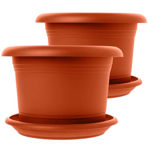 Centi 2er Set Eleganter Blumentopf Groß in Terracotta: 30cm Premium-Kübel mit Untersetzer – Deutscher Pflanzkübel Groß für alle Wetterbedingungen! von Centi