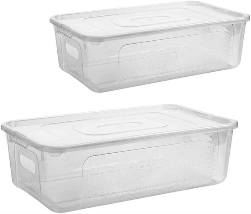 Centi Aufbewahrungsbox SORTINO Aufbewahrungsbox-Set 5 L mit Griffen (2er-Set), 34 × 20 × 10 cm – transparent von Centi