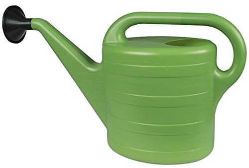 Centi Gießkanne mit abnehmbarer Tülle 97410, 10 Liter, Grün von Centi