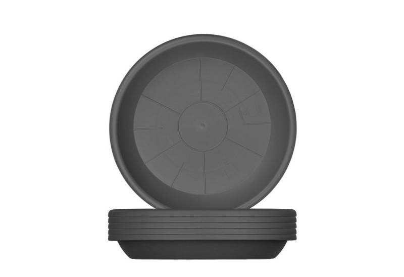 Centi Pflanzkübel Runder Blumentopf Untersetzer anthrazit robust (6er-Set) von Centi