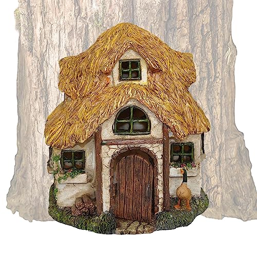 Ceolup Miniatur Fairy Gnome Home Fenster Und Tür, Garten Outdoor Statuen Bäume Dekoration Feentür Wichteltür Garten Türen Und Fenster Aus Harz, Gartendeko Figuren Statuen, Garten Dekoration Skulptur Statuen, WVLP01IDT6Z8RA5QATIL von Ceolup