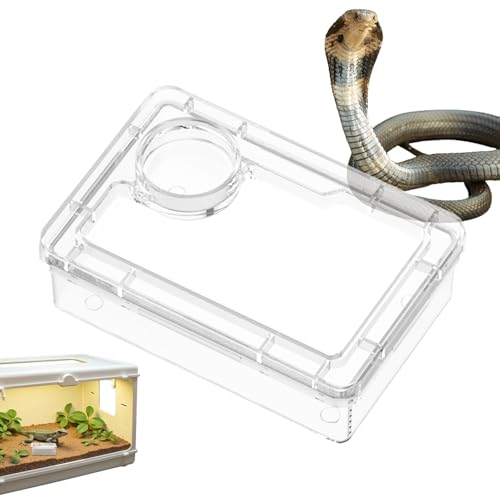 Ceprznvey Wasserschale für Reptilien – Futterschale für Barbudrachen – Terrarium-Zubehör für Futter Gecko Spinne von Ceprznvey