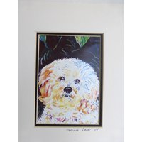 Kunstdruck Tiere Hund Cockapoo Oder Malteser Weiß Schwarz Mit Passepartout von CeramicsFloorcloths