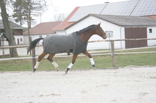 Ceratex Abschwitzdecke schwarz 155cm Ceratex Abschwitzdecke schwarz 155cm von Ceratex