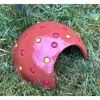 16 cm Keramik Haus Häuschen Höhle Meerschweinchen Hamster Ratten Nager Nagetier Mäuse Mäuschen Kleintiere Ratte Nagerhaus Nagerhöhle 16 cm Keramik Haus Häuschen Höhle Meerschweinchen Hamster Ratten Nager Nagetier Mäuse Mäuschen Kleintiere Ratte Nagerhaus Nagerhöhle von Ceratina