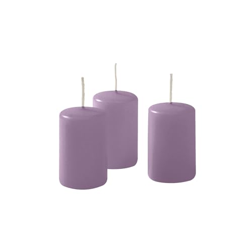 Cereria di Giorgio Risthò Kerzen Durchmesser 4 cm Höhe 7 - Pflaume - Packung mit 12 Stück Cereria di Giorgio Risthò Kerzen Durchmesser 4 cm Höhe 7 - Pflaume - Packung mit 12 Stück von Cereria di Giorgio