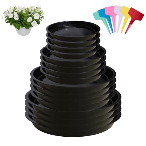 16 Stück Blumentopf Untersetzer,4 Größen,Kunststoff Blumentopf Untersetzer,Pflanzen Untersetzer,Pflanzen Untersetzer für Blumentöpfe mit 18 Stück Etikett,Tabletts für Zuhause Drinnen und Draußen,Garte 16 Stück Blumentopf Untersetzer,4 Größen,Kunststoff Blumentopf Untersetzer,Pflanzen Untersetzer,Pflanzen Untersetzer für Blumentöpfe mit 18 Stück Etikett,Tabletts für Zuhause Drinnen und Draußen,Garte von Cerioll