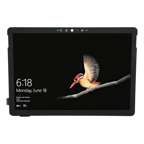Laptop LCD -Display Bildschirm Hochhellig Multi -Touch -Glättungsbildschirm Ersatz für Go 2 1901 1926 1927 10.5in von Cerlyiont