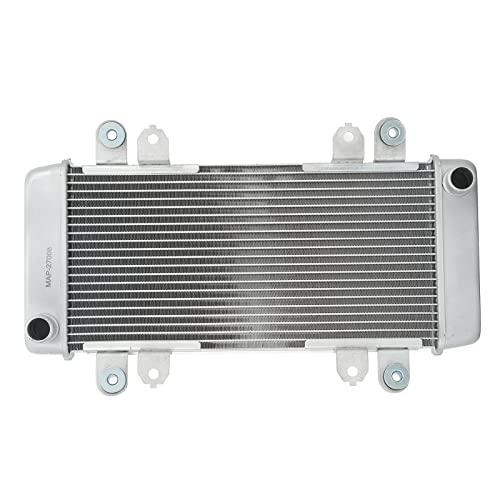 Motorrad-Kühlerkühler, Kühlwassertank-Baugruppe aus Aluminium, kühlt Öl effizient für NINJA 300 EX300 2013–2018 (Silber) von Cerlyiont