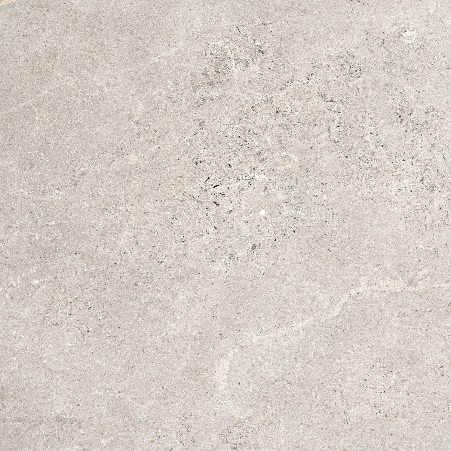 Bodenfliese Feinsteinzeug Kaspio Grau Glasiert Matt 59,8 cm x 59,8 cm Bodenfliese Feinsteinzeug Kaspio Grau Glasiert Matt 59,8 cm x 59,8 cm von Cersanit