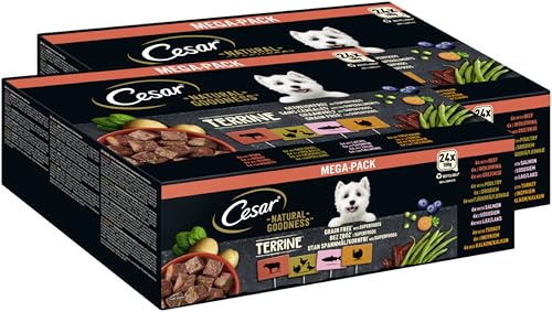 CESAR® Natural Goodness™ Schale Multipack Terrine Getreidefrei mit Superfoods 4 Varietäten 2 x 24 x 100g von Cesar