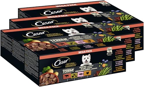 CESAR® Natural Goodness™ Schale Multipack Terrine Getreidefrei mit Superfoods 4 Varietäten 3 x 24 x 100g von Cesar