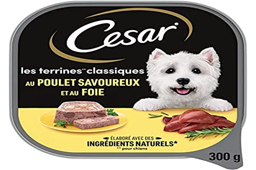 CESAR Hundefutter – 20 Schalen à 300 g – Nassfutter für Hunde, Klassische Terrine mit schmackhaftem Huhn und Leber – Nassfutter für Hunde CESAR Hundefutter – 20 Schalen à 300 g – Nassfutter für Hunde, Klassische Terrine mit schmackhaftem Huhn und Leber – Nassfutter für Hunde von Cesar