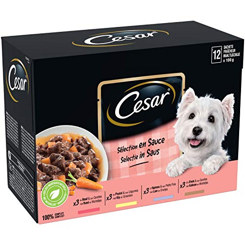 CESAR Hundefutter – 48 Frischebeutel (4 Packungen à 12 x 100 g) – Nassfutter für Hunde in Soße – Rind/Huhn/Lamm/Truthahn – Vollnahrung & ausgewogenes Futter mit natürlichen Inhaltsstoffen von Cesar