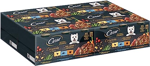 CESAR NATURAL GOODNESS Hundenassfutter in der Dose Casserole in Sauce mit Huhn, mit Fisch, mit Truthahn, mit Vollkorn und Superfoods, 4 x 6 x 400g von Cesar