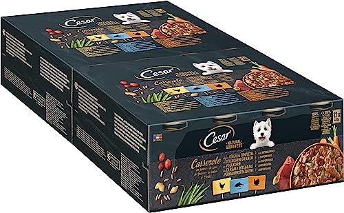 CESAR Natural Goodness Hundenassfutter in der Dose Casserole in Sauce mit Huhn, mit Fisch, mit Truthahn und mit Vollkorn und Superfoods, 2 x 12 x 400g CESAR Natural Goodness Hundenassfutter in der Dose Casserole in Sauce mit Huhn, mit Fisch, mit Truthahn und mit Vollkorn und Superfoods, 2 x 12 x 400g von Cesar