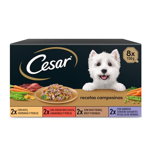 Cesar 8 Rezepte für die Kampagne Mini Filets in Sauce für Hunde, 150 g Cesar 8 Rezepte für die Kampagne Mini Filets in Sauce für Hunde, 150 g von Cesar