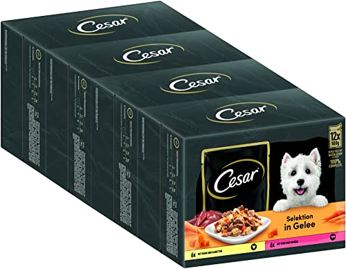 Cesar Adult Hundenassfutter Selektion in Gelee, 48 Portionsbeutel, 12x100g (4er Pack) – Ausgewogenes Premium Hundefutter nass, mit Huhn & Rind von Cesar