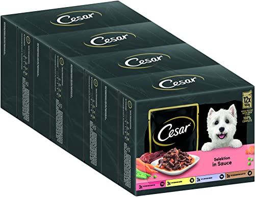 Cesar Adult Hundenassfutter Selektion in Sauce, 48 Portionsbeutel, 12x100g (4er Pack) – Ausgewogenes Premium Hundefutter nass, Auswahl mit Rind, Huhn, Lamm und Truthahn von Cesar