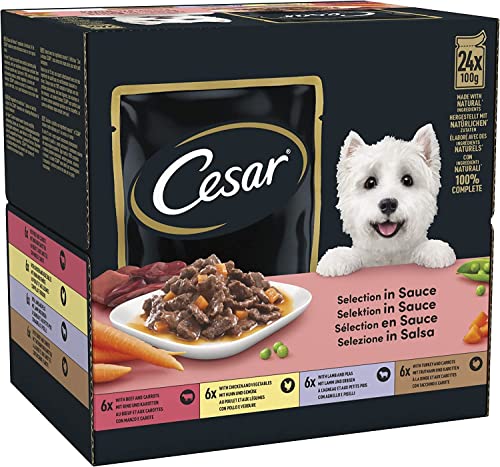 Cesar Adult Hundenassfutter Selektion in Sauce, 48 Portionsbeutel, 24x100g (2er Pack) – Ausgewogenes Premium Hundefutter nass, Auswahl mit Rind, Huhn, Lamm und Truthahn von Cesar