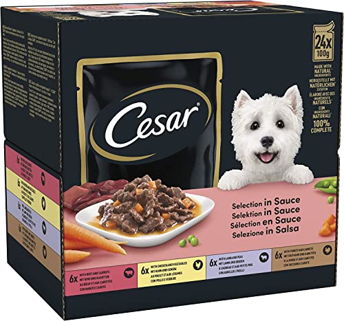 Cesar Hundefutter Feines im Frischebeutel von Cesar