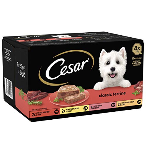 Cesar ClassicTerrine Hundefutter nass - gemischte Auswahl in Gelee, 8x150g (3er Pack) von Cesar